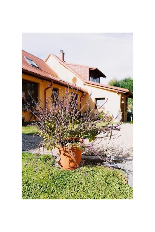 Apartmany U Kaplicky Kamyk nad Vltavou Luaran gambar